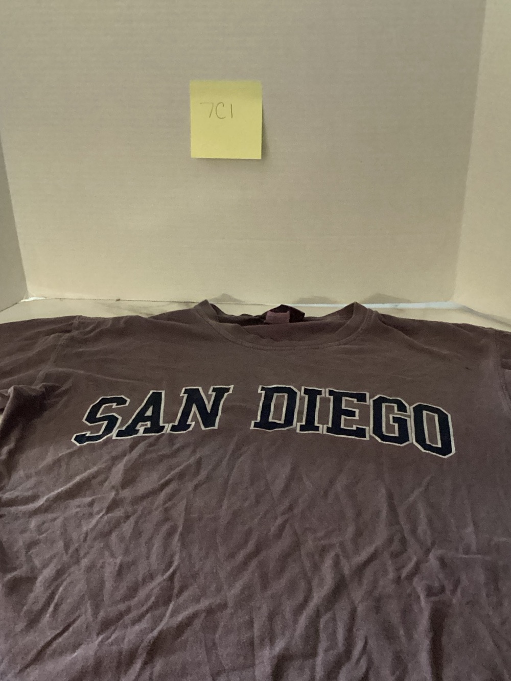 Comfort Colors San Diego Graphic Tee - Purple Wash